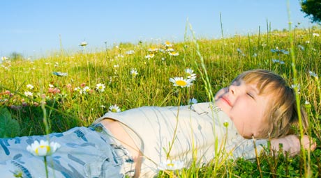 Bild Junge entspannt in Wiese